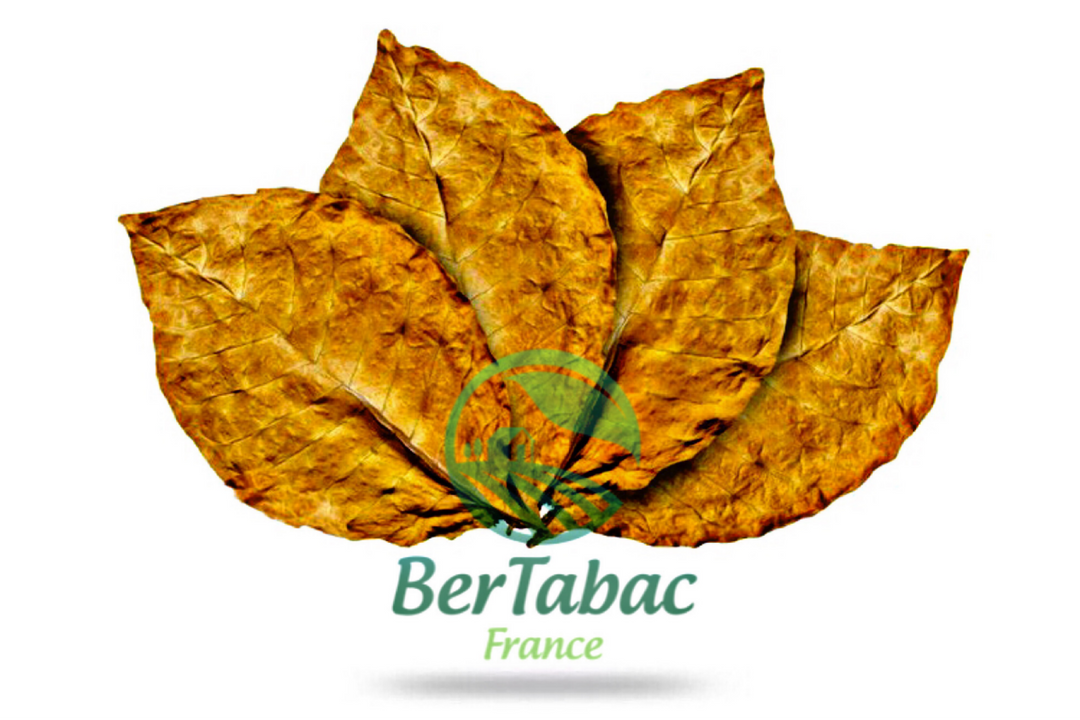 Feuilles de tabac virginie red italia