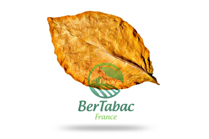 Foglie di tabacco Virginia orange