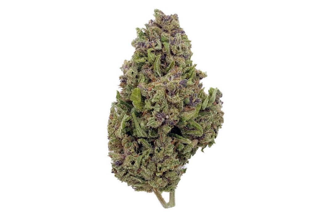 Fleurs de CBD Watermelon