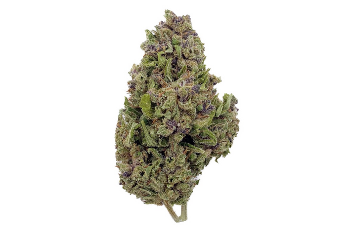 Fleurs de CBD Watermelon