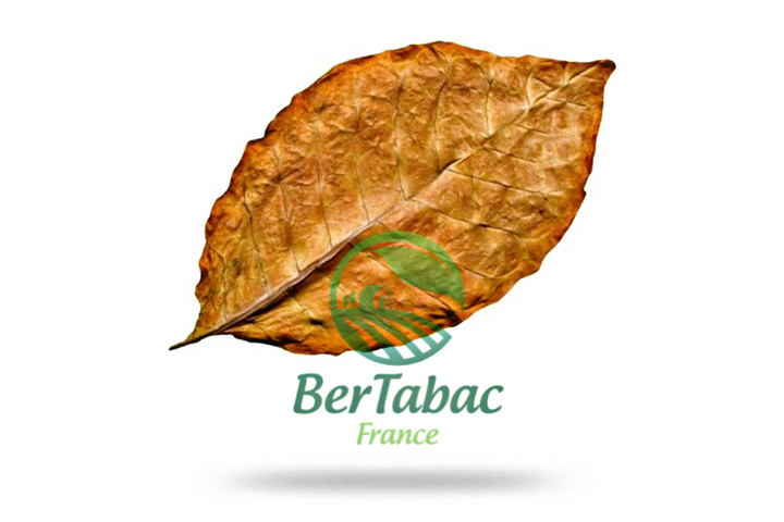 Feuilles de tabac oriental Krumovgrad