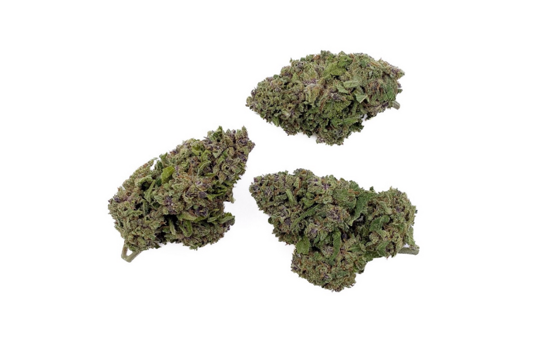 Fleurs de CBD Watermelon