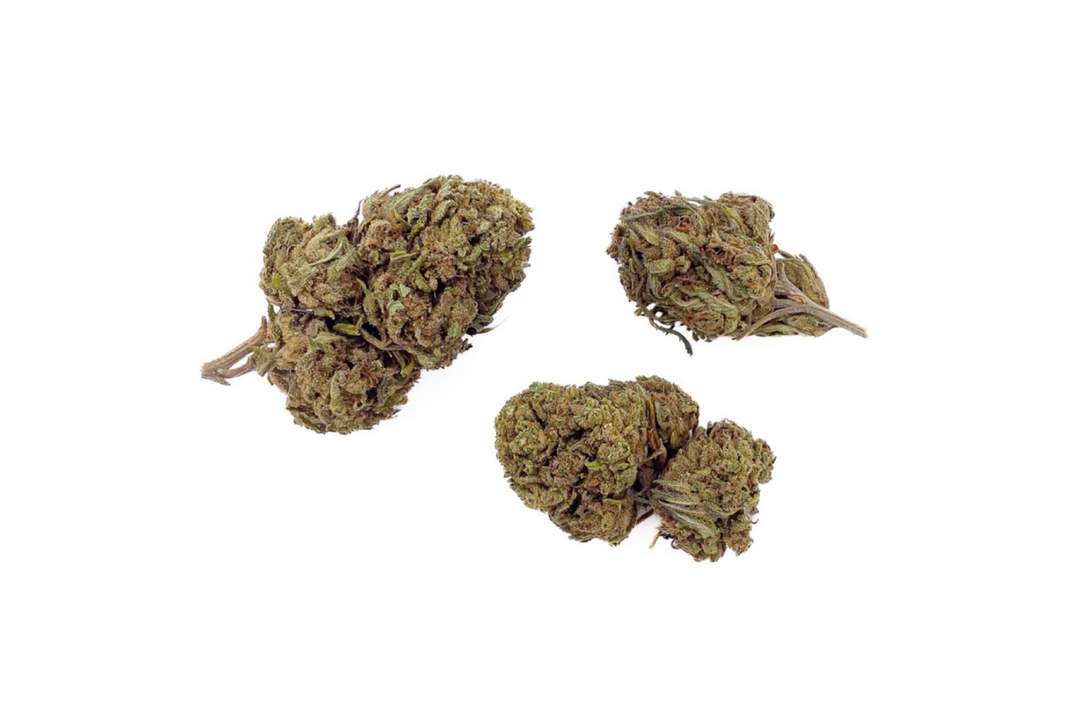 Fleurs de CBD Harlequin