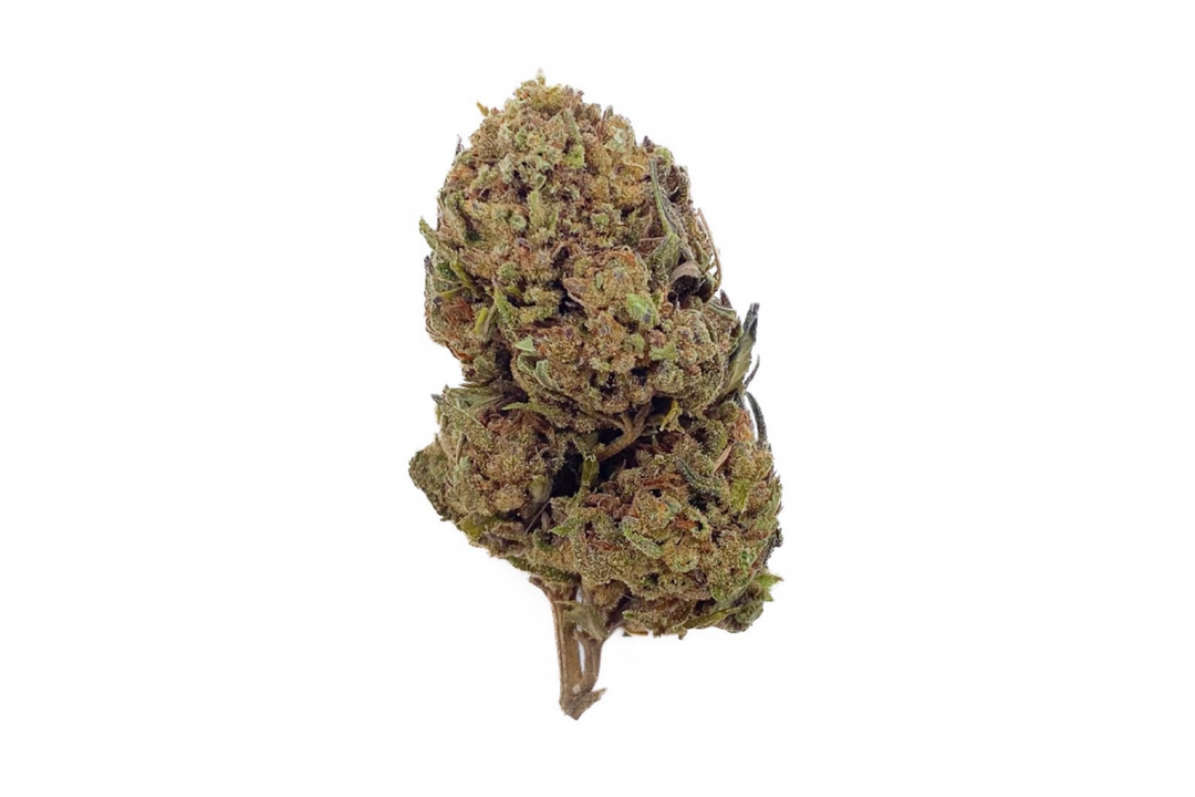 Fleurs de CBD Harlequin