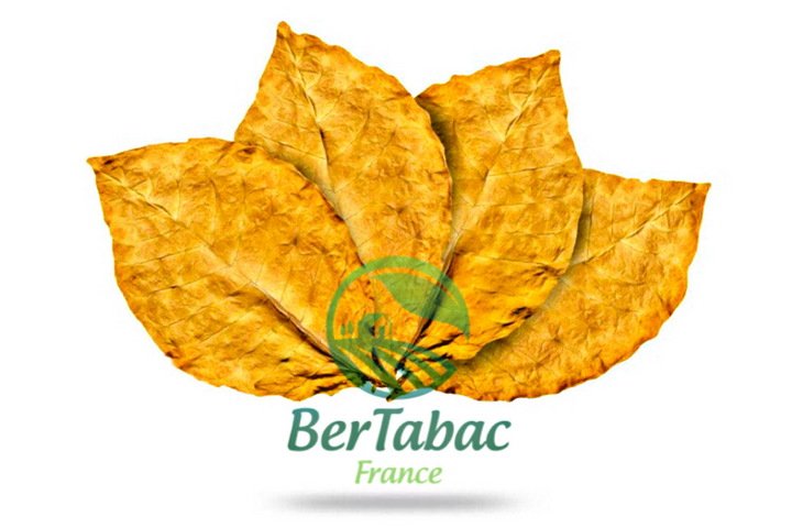 Feuilles de tabac virginie blond