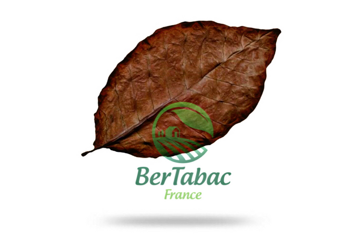 Feuilles de tabac kentucky dark fire cured
